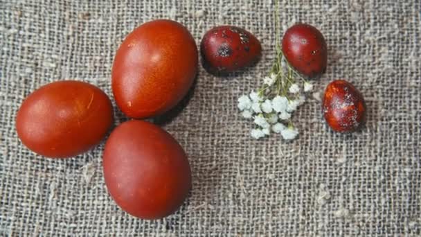 Huevos de Pascua sobre un hermoso fondo — Vídeos de Stock