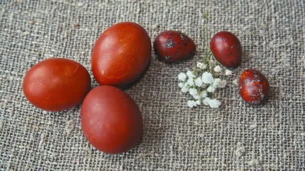 Huevos de Pascua sobre un hermoso fondo — Vídeos de Stock