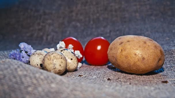 Oeufs de Pâques sur un beau fond — Video