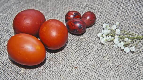 Huevos de Pascua sobre un hermoso fondo — Vídeos de Stock