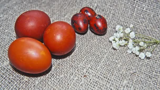 Huevos de Pascua sobre un hermoso fondo — Vídeos de Stock