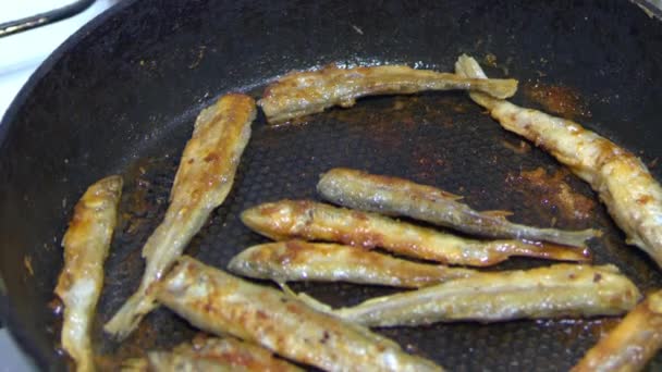 Fish fried in a skillet. Smelt. — Stock Video