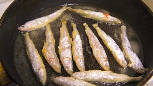 Pescado frito en una sartén. Fundición. . — Vídeo de stock