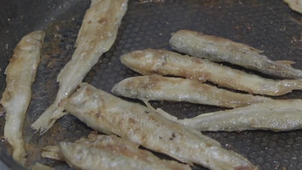 Fish fried in a skillet. Smelt. S-log — Stock Video