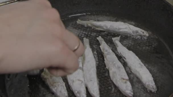 Vis gebakken in een koekenpan. Smelt. S-log — Stockvideo