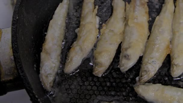 Ψάρι τηγανισμένο σε ένα τηγάνι. Αθερίνα. S-αρχείο καταγραφής — Αρχείο Βίντεο