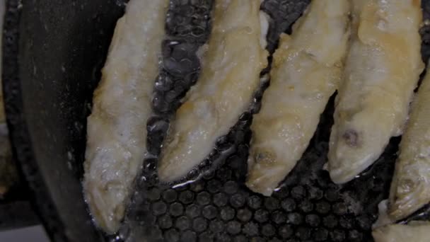 Ψάρι τηγανισμένο σε ένα τηγάνι. Αθερίνα. S-αρχείο καταγραφής — Αρχείο Βίντεο