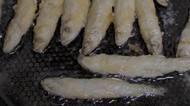 Fish fried in a skillet. Smelt. S-log — Stock Video