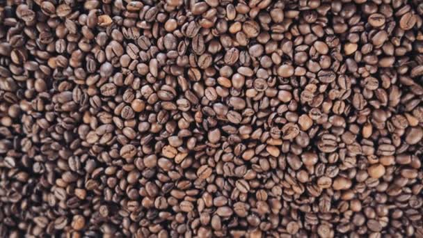 Кофейные зерна крупным планом, зерно, падение, замедленная съемка — стоковое видео