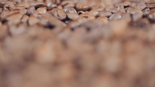 Кофейные зерна крупным планом, зерно, падение, замедленная съемка — стоковое видео