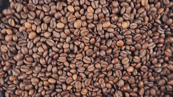 Kaffebönor närbild, korn, faller, Slowmotion — Stockvideo
