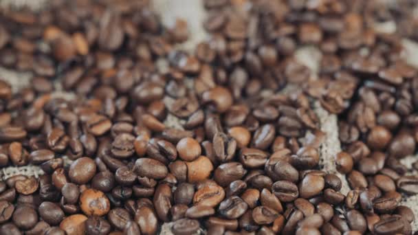 Kaffeebohnen Nahaufnahme, Getreide, fallen, Zeitlupe — Stockvideo