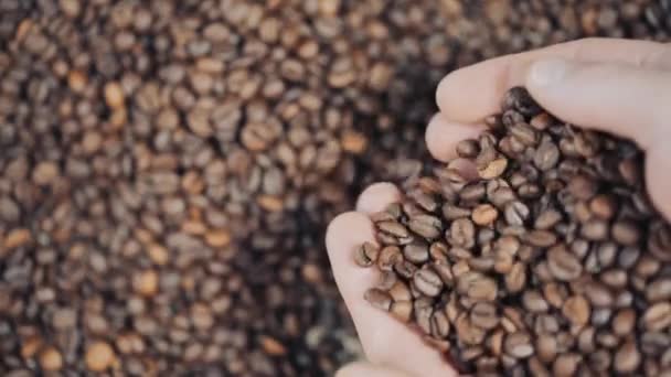 Felnőtt ember kezét feltartotta a kávé szemes - belül szoros. Lassú mozgás — Stock videók
