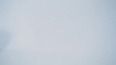 Olgun kırmızı ve sarı beyaz arka plan üzerinde elma izole