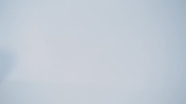 Olgun kırmızı ve sarı beyaz arka plan üzerinde elma izole