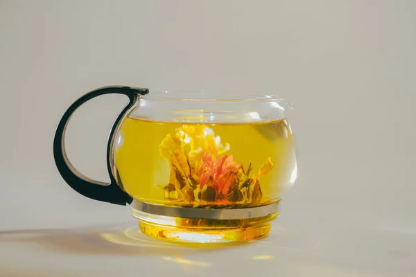 Brote de flor de té chino verde floreciendo en tetera de vidrio. sobre blanco — Foto de Stock