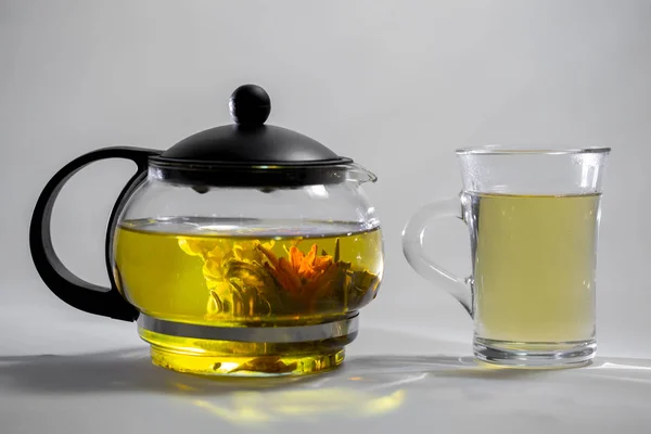 Chińska zielona herbata, którą Bud kwitnie w dzbanek do herbaty szkło. Filiżanka herbaty na wh — Zdjęcie stockowe