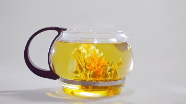 bourgeon de fleur de thé chinois vert fleurissant dans une théière en verre 