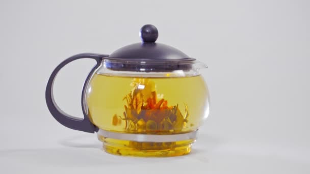bourgeon de fleur de thé chinois vert fleurissant dans une théière en verre 