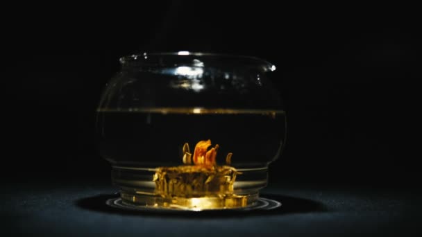 Grönt kinesiskt te blomknopp blommande i glas tekanna — Stockvideo