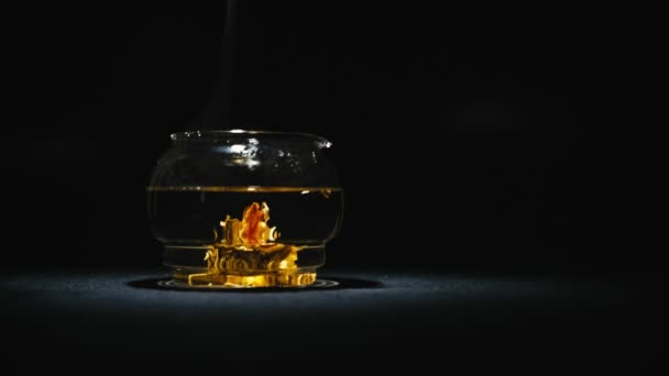 Broto de flor de chá chinês verde florescendo em bule de vidro — Vídeo de Stock