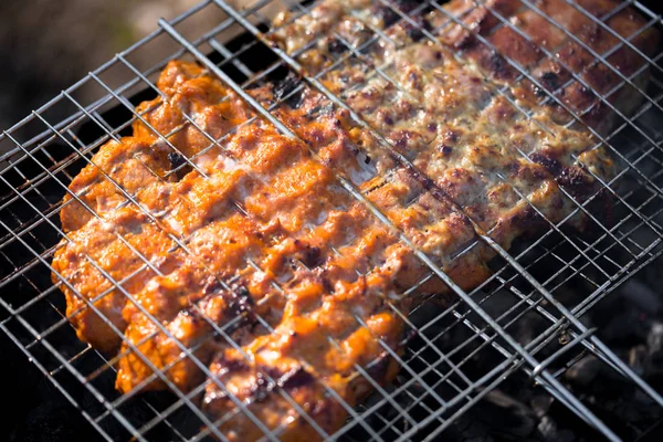 Barbecue, viande rôtie sur les charbons — Photo