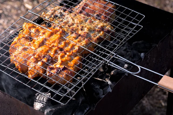 Grillen, Fleisch auf Kohlen gebraten — Stockfoto