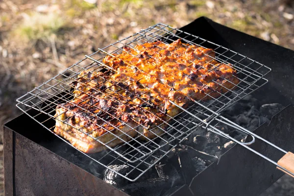 Barbecue, vlees geroosterd op de kolen — Stockfoto