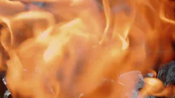 flamme. le feu brûle dans le gril. Barbecue, barbecue. Dolly shot 