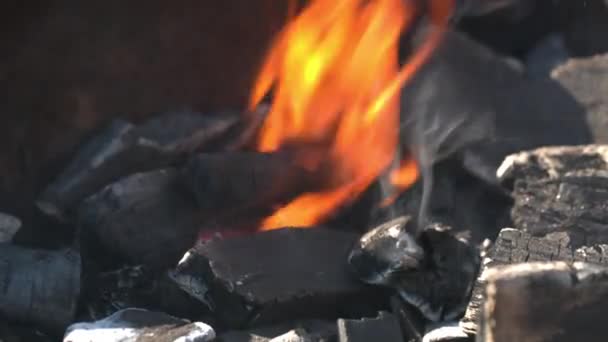 Flamme. le feu brûle dans le gril. Barbecue, barbecue. Dolly shot — Video