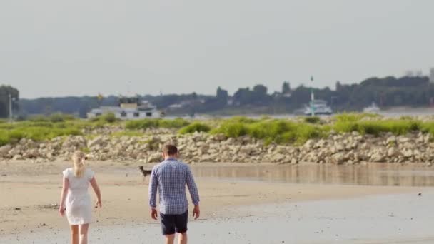 Un chico y una chica están caminando en la playa — Vídeo de stock