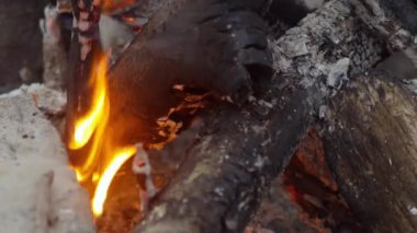 Yangın yanık sahilde piknik