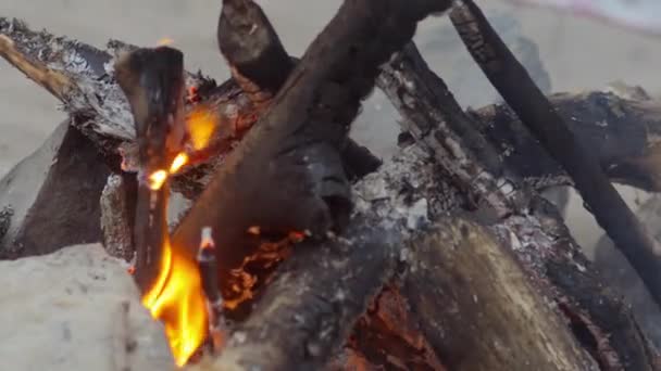 Oheň hoří na pláži, piknik — Stock video