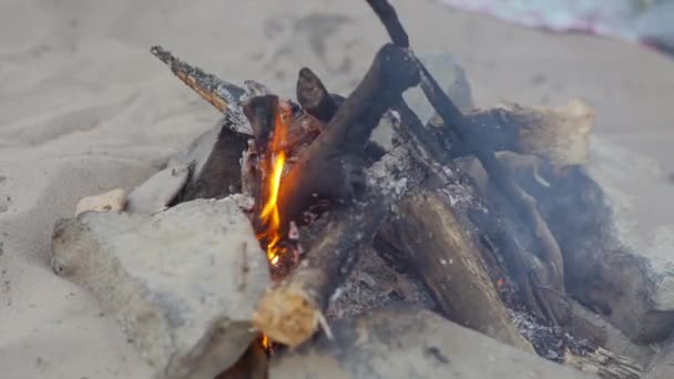 Le feu brûle sur la plage, pique-nique — Video