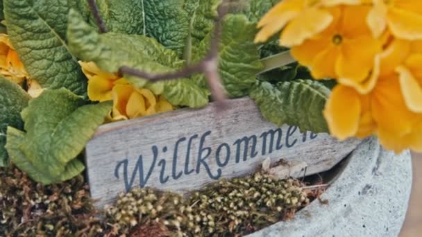 Gele bloemen en een teken Willkommen — Stockvideo
