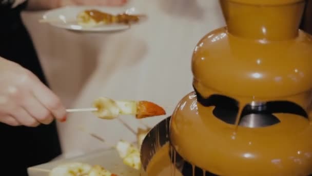 Čokoládová fontána, ovoce máčené v čokoládě — Stock video