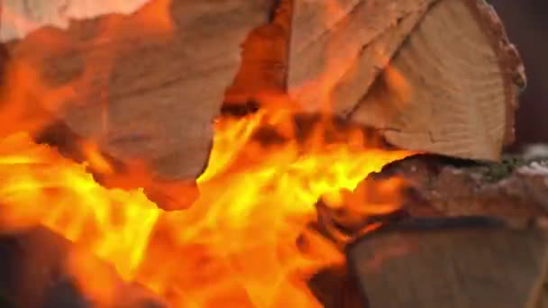Le feu, la combustion du bois de chauffage 
