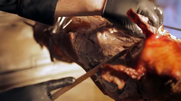 Corte o porco que amamenta em uma saliva — Vídeo de Stock
