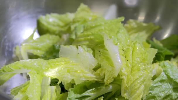 Öl Salz und Pfeffer auf Salat. Zeitlupe — Stockvideo