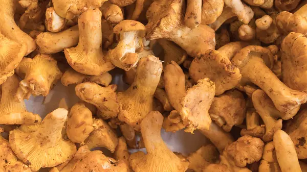 meyve ile sayaç Pazar