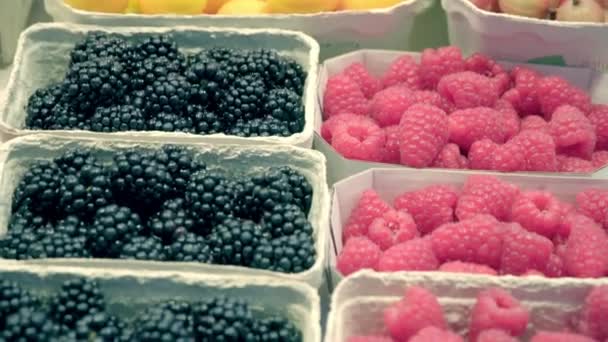 Le marché de comptoir avec des fruits — Video