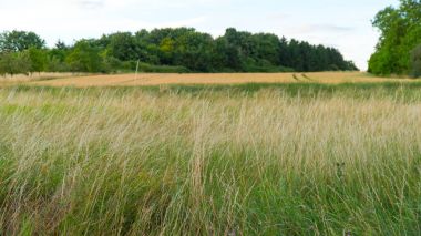 Bir alan ve Almanya küçük bir kasabada güzel gün batımı