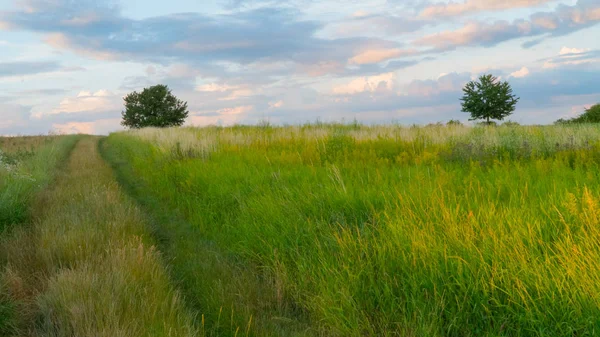 Gün batımında yeşil alan yol