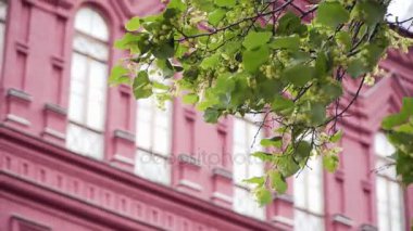 Moskova: Kızıl Meydan, şehir manzarası