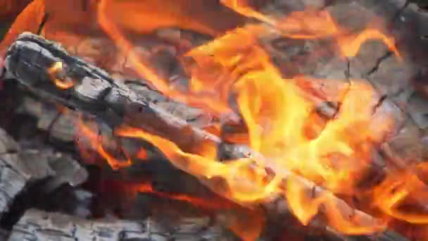 Oheň: hořící dřevo a doutnající uhlíky — Stock video