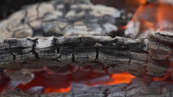 火: 木とくすぶっている残り火を燃焼 — ストック動画