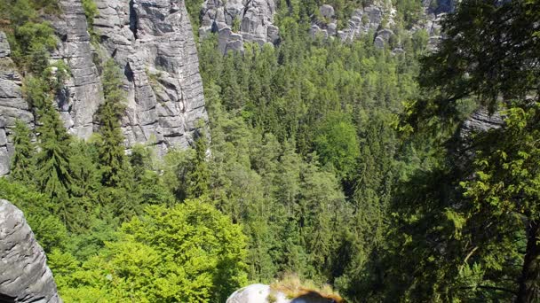 Nationalparklandschaft Sächsische Schweiz Deutschland — Stockvideo