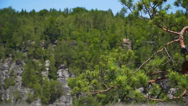 Saksisch Zwitserland Nationaalpark landschap Duitsland — Stockvideo