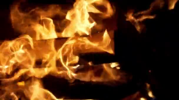 Пожежа, що горить на чорному тлі. повільний рух — стокове відео