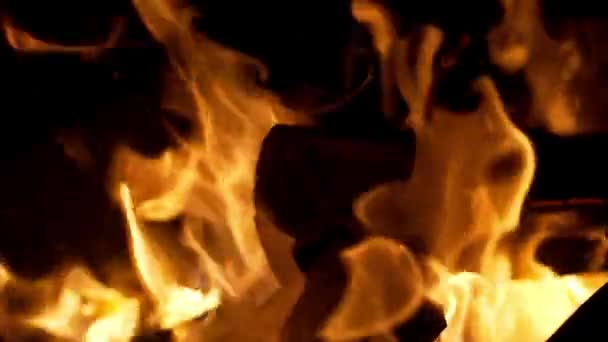 Fogo queimando no fundo preto. câmara lenta — Vídeo de Stock